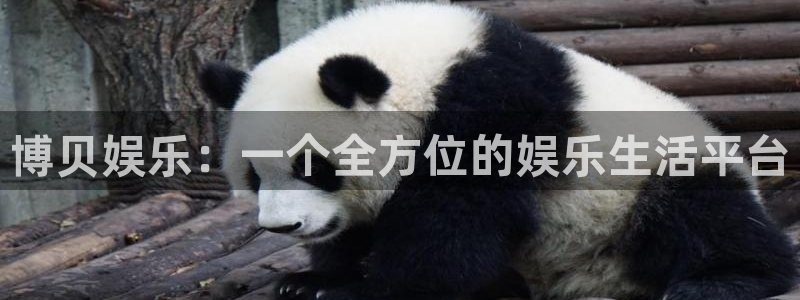 长运娱乐平台官网入口