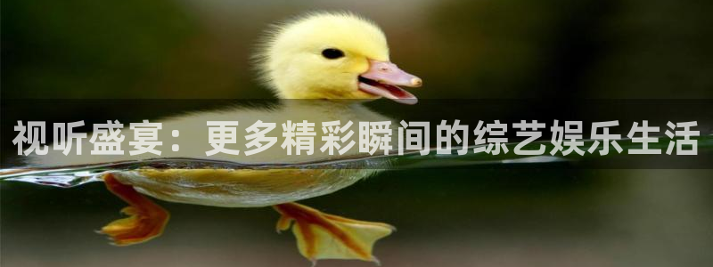 长运娱乐平台测速登录