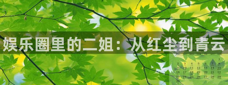 长运娱乐平台登录入口