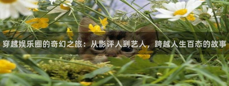 长运娱乐